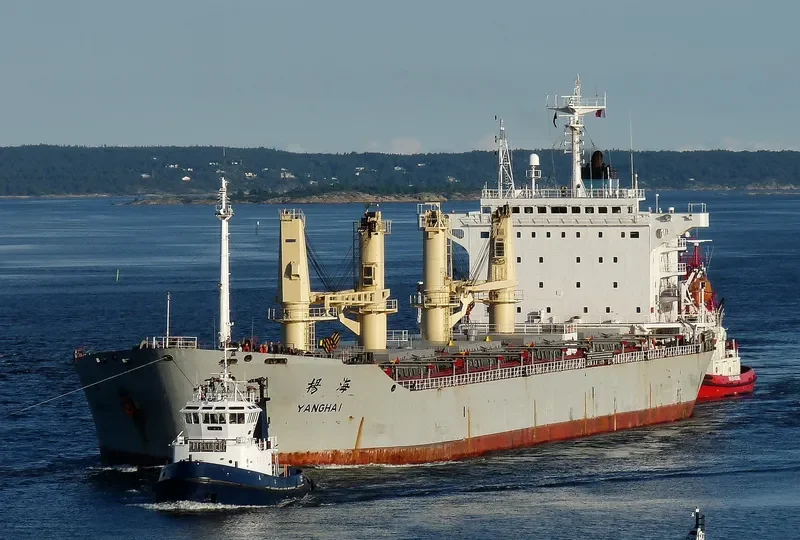 YANG HAI Bulk Carrier IMO 9162447 photo 5