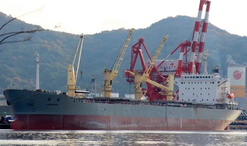 YANG HAI Bulk Carrier IMO 9162447 photo 8