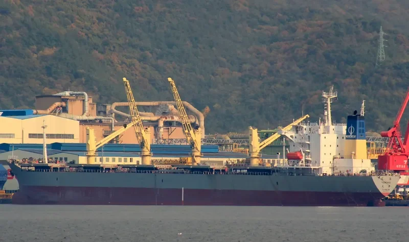 YANG HAI Bulk Carrier IMO 9162447 photo 9