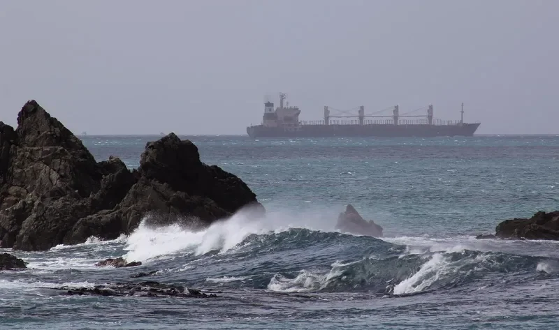 SEA GLORY Bulk Carrier IMO 9162459 photo 4