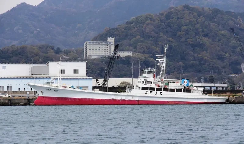 NIKKO MARU NO.51 General Cargo IMO 9162576