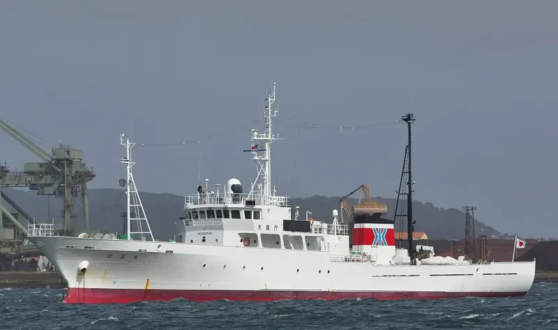 MECHTA General Cargo IMO 9162588
