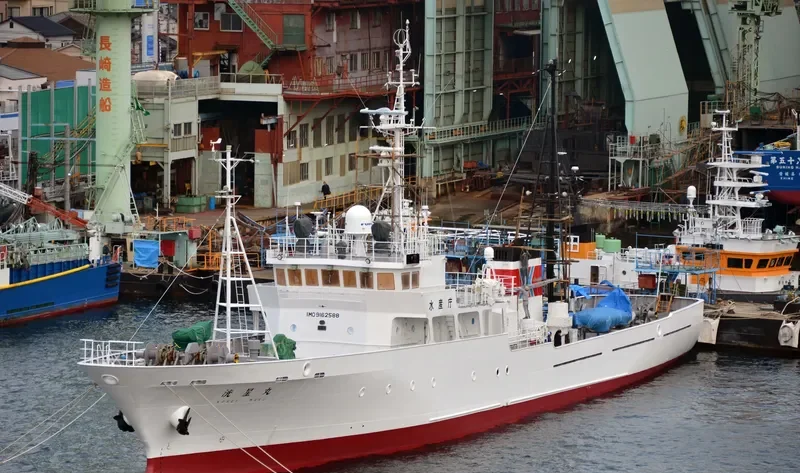 MECHTA General Cargo IMO 9162588 photo 2