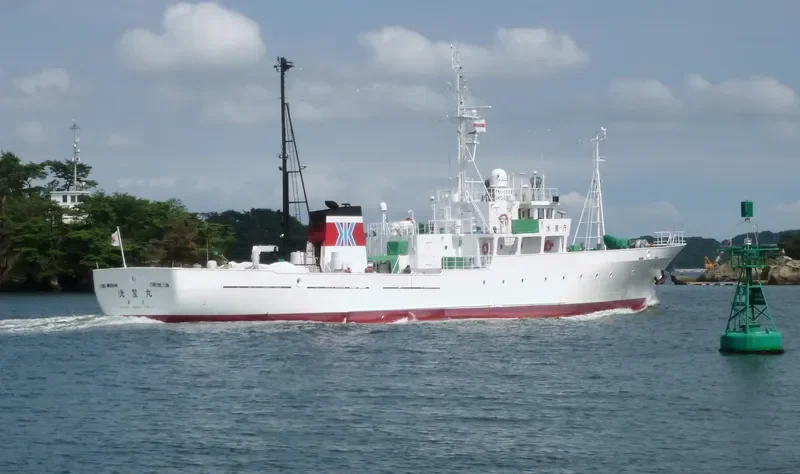 MECHTA General Cargo IMO 9162588 photo 8