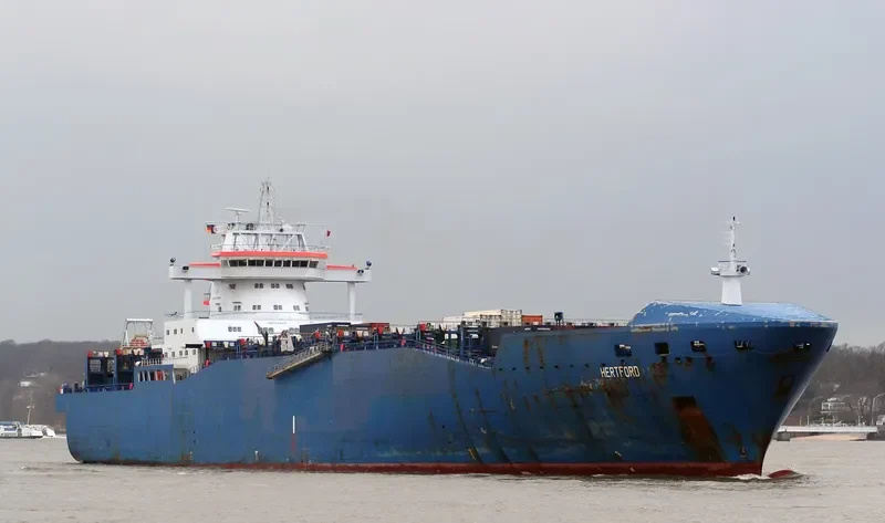 MSC PROVIDER Container Ship IMO 9162617
