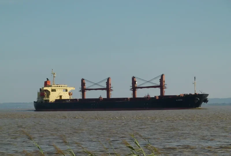 ALPENA Bulk Carrier IMO 9162980 photo 3
