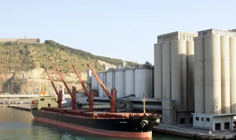 ALPENA Bulk Carrier IMO 9162980 photo 6
