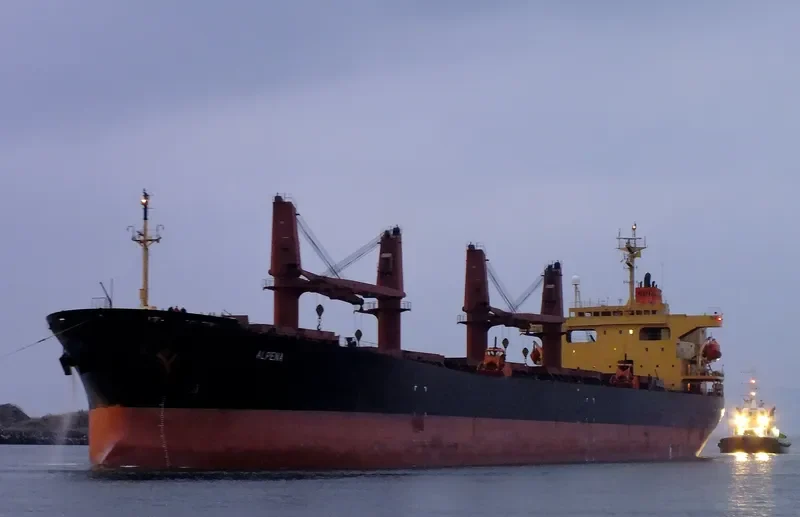 ALPENA Bulk Carrier IMO 9162980 photo 9
