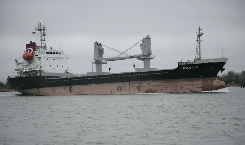 BOTHWIN 7 General Cargo IMO 9163154 photo 4