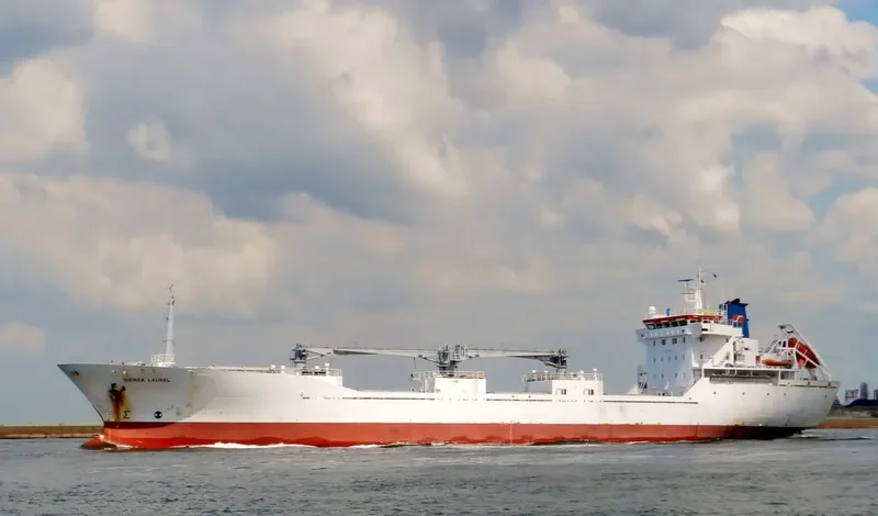 SIERRA LAUREL General Cargo IMO 9163403 photo 7
