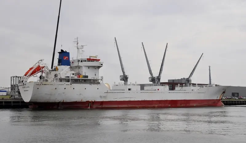 SIERRA LAUREL General Cargo IMO 9163403 photo 10