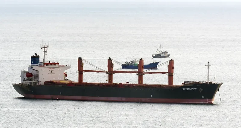 FORTUNE LORD Bulk Carrier IMO 9163477