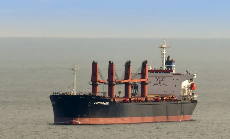 FORTUNE LORD Bulk Carrier IMO 9163477 photo 2