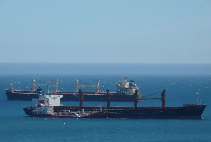 FORTUNE LORD Bulk Carrier IMO 9163477 photo 6