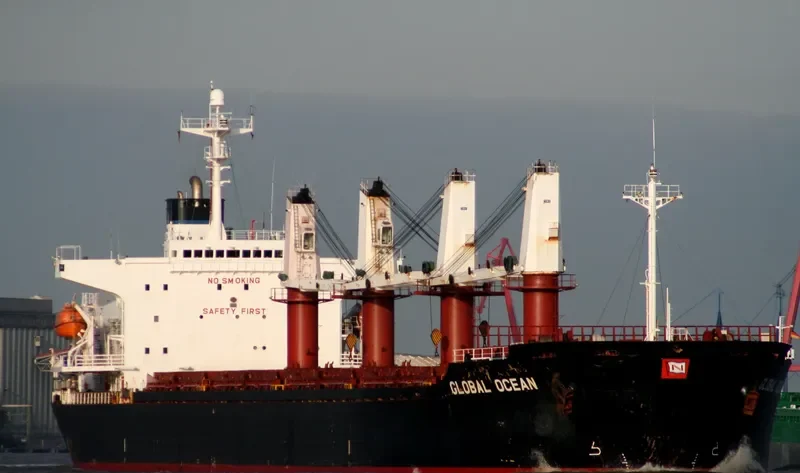 FORTUNE LORD Bulk Carrier IMO 9163477 photo 10