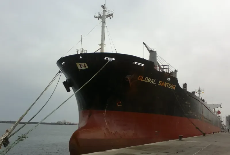 JUN BENEFIT Bulk Carrier IMO 9163489 photo 4