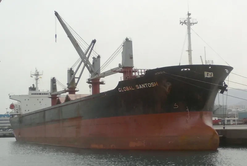 JUN BENEFIT Bulk Carrier IMO 9163489 photo 5