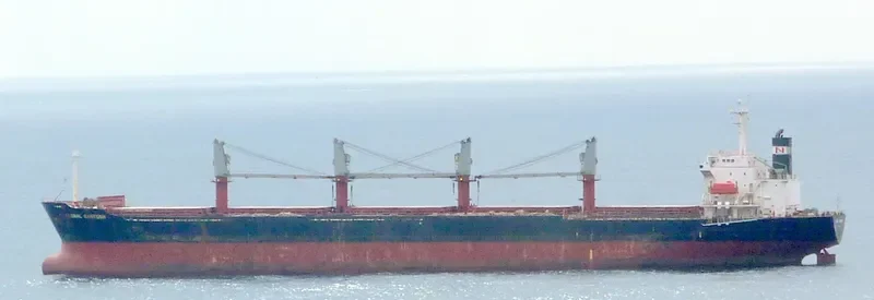 JUN BENEFIT Bulk Carrier IMO 9163489 photo 7