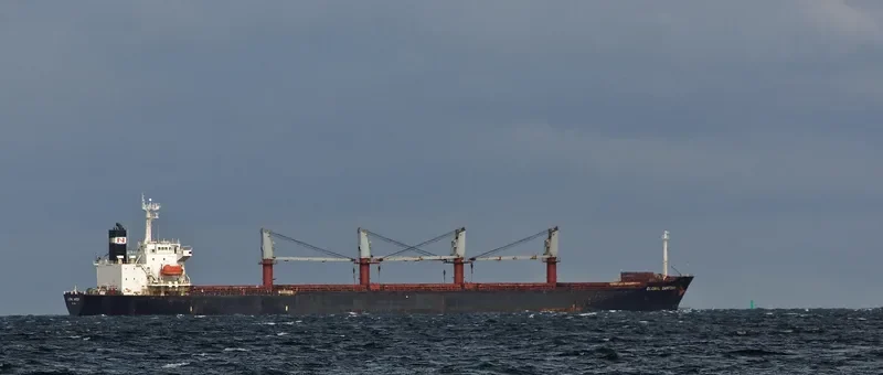 JUN BENEFIT Bulk Carrier IMO 9163489 photo 8