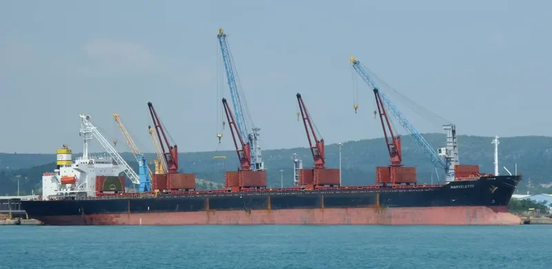 LUNE B Bulk Carrier IMO 9163491 photo 3