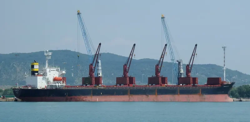 LUNE B Bulk Carrier IMO 9163491 photo 4