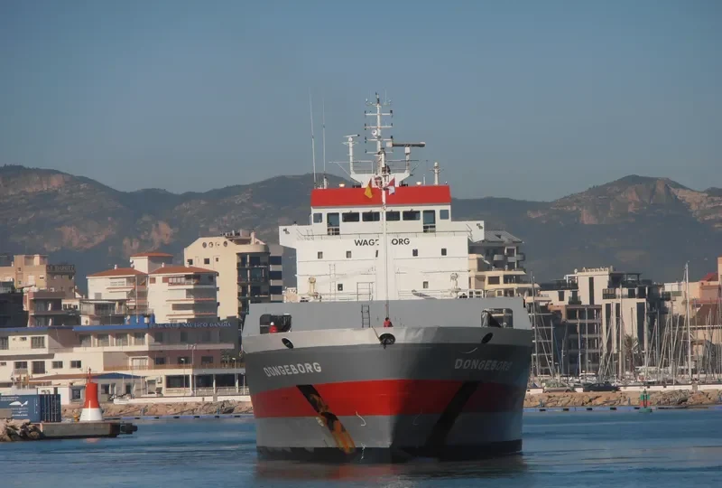 DONGEBORG Container Ship IMO 9163697