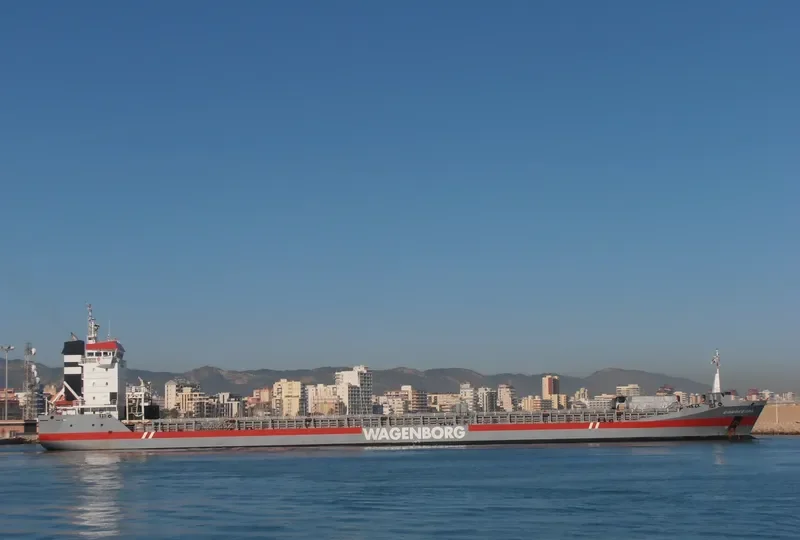DONGEBORG Container Ship IMO 9163697 photo 2