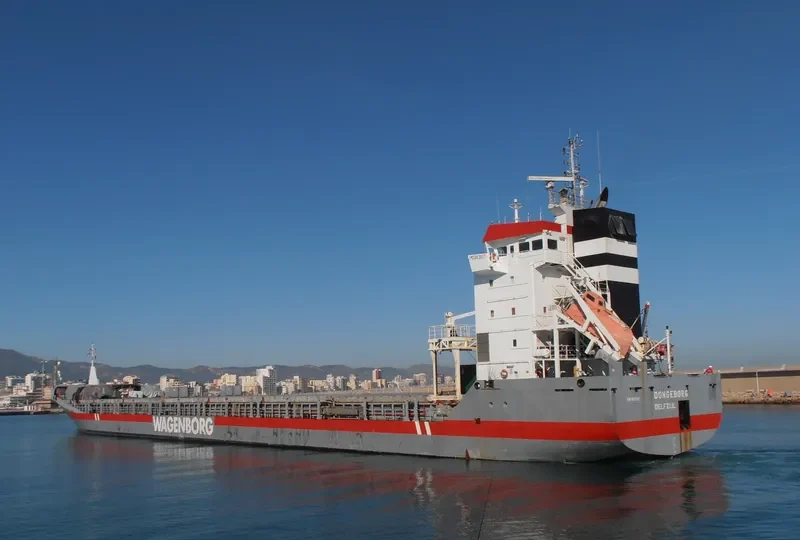 DONGEBORG Container Ship IMO 9163697 photo 4