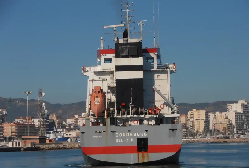 DONGEBORG Container Ship IMO 9163697 photo 5