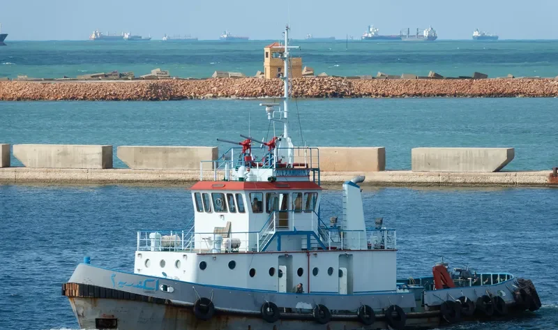 ALEXANDRIA 2 General Cargo IMO 9164976 photo 4