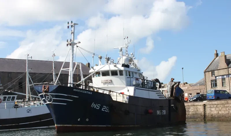 MARACESTINA General Cargo IMO 9165102