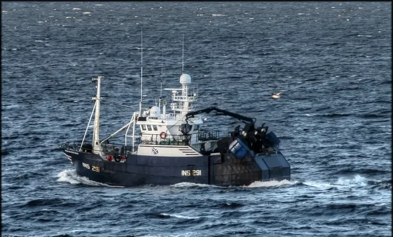 MARACESTINA General Cargo IMO 9165102 photo 2