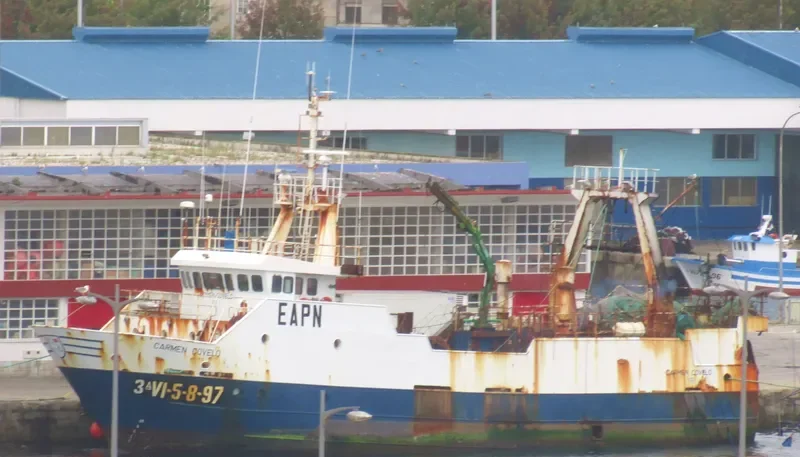 CARMEN COVELO General Cargo IMO 9165114