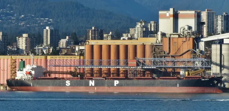THE ABLE Bulk Carrier IMO 9165190 photo 2