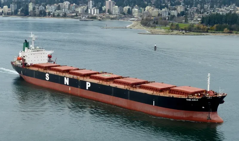THE ABLE Bulk Carrier IMO 9165190 photo 3