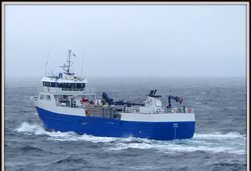 ROBAS General Cargo IMO 9165487