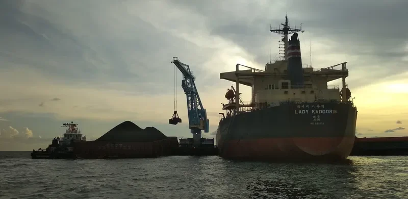 LADY CEDROS Bulk Carrier IMO 9165504