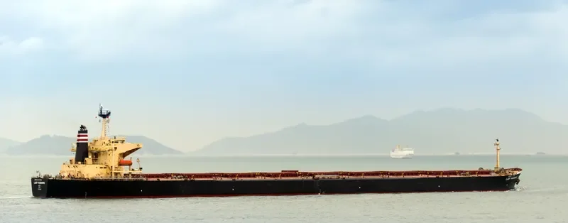 LADY CEDROS Bulk Carrier IMO 9165504 photo 4