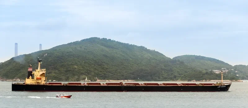 LADY CEDROS Bulk Carrier IMO 9165504 photo 5