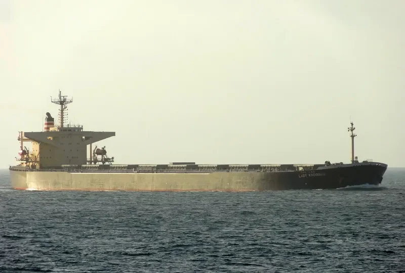 LADY CEDROS Bulk Carrier IMO 9165504 photo 9