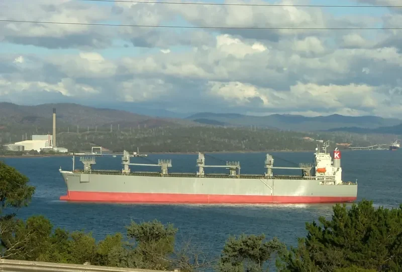 CHIPSTAR Bulk Carrier IMO 9165918 photo 2