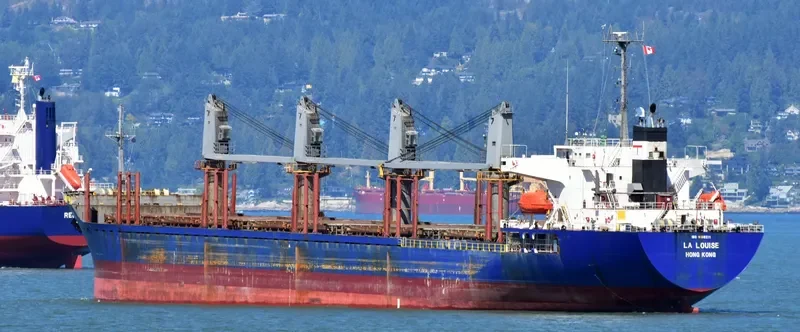 EKATERINA Bulk Carrier IMO 9166211