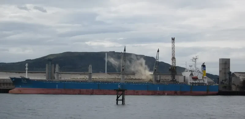 TONGHAI Bulk Carrier IMO 9166302 photo 2