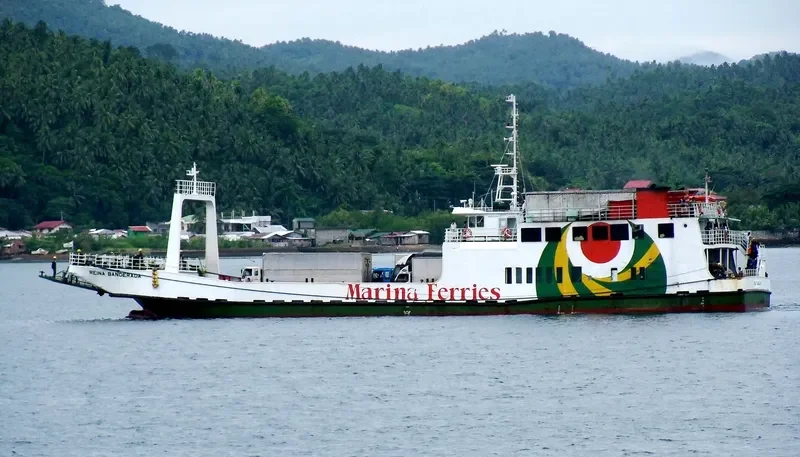 REINA BANDERADA Passenger Ship IMO 9166352 photo 3