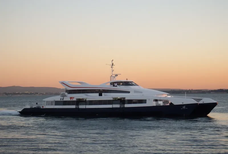 SE Passenger Ship IMO 9166596 photo 2