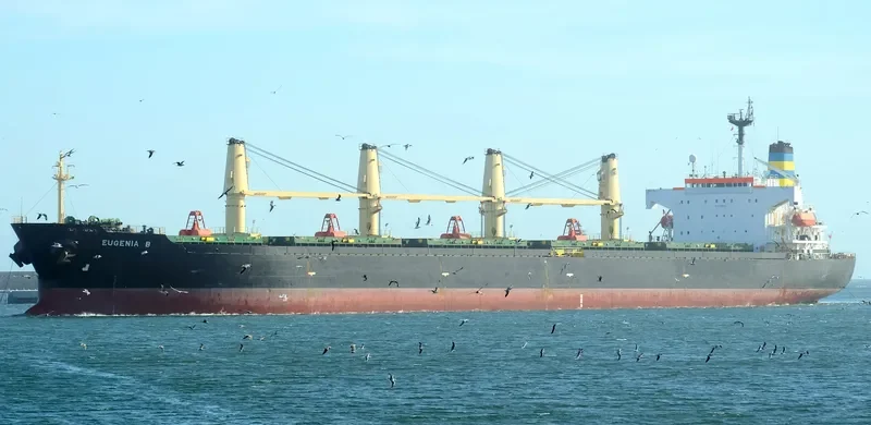 MARYAM Bulk Carrier IMO 9166883 photo 9