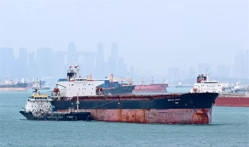WOOYANG QUEEN Bulk Carrier IMO 9166900