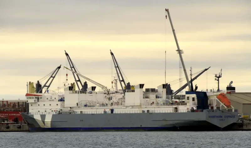 SHORTHORN EXPRESS General Cargo IMO 9167318 photo 8