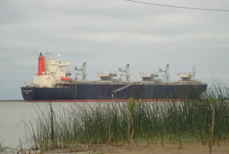 LUMINOUS ORION Bulk Carrier IMO 9167370