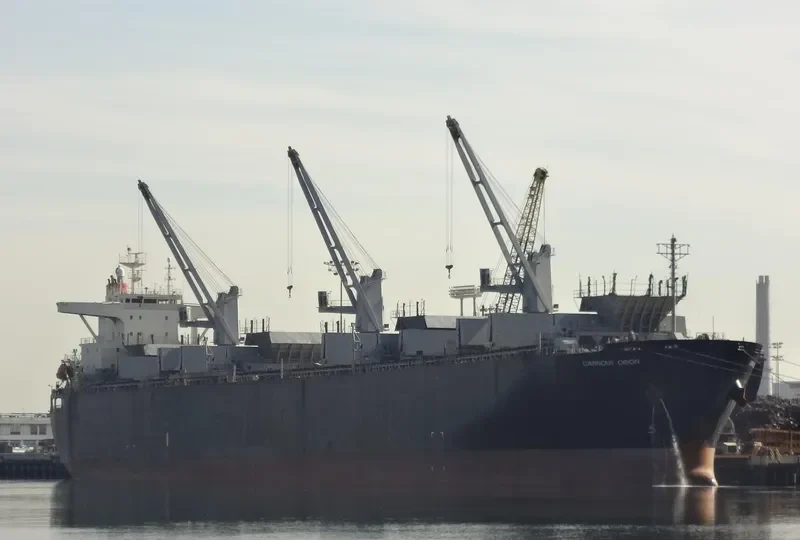 LUMINOUS ORION Bulk Carrier IMO 9167370 photo 2